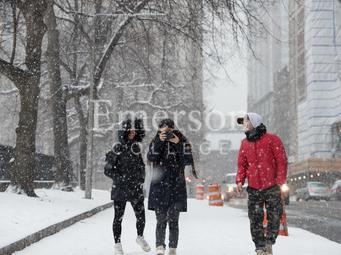 winter day in Boston Common